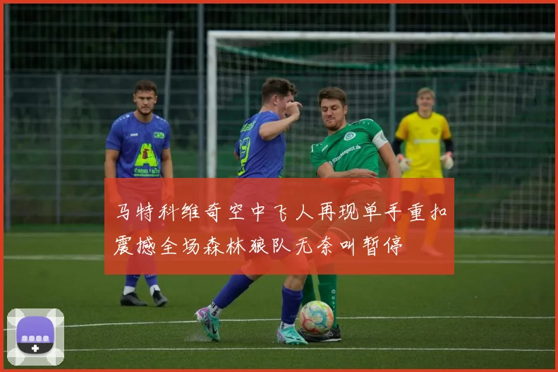 马特科维奇空中飞人再现单手重扣震撼全场森林狼队无奈叫暂停