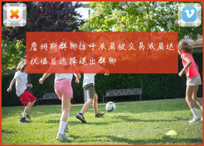 詹姆斯群聊惊呼浓眉被交易浓眉送祝福后选择退出群聊